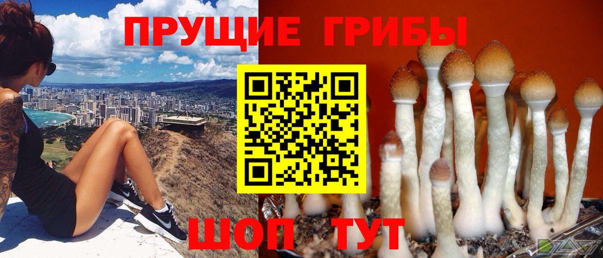 Псилоцибиновые грибы MAGIC MUSHROOMS  Псилоцибиновые грибы мухоморы  Свободный  Вход с VPN 