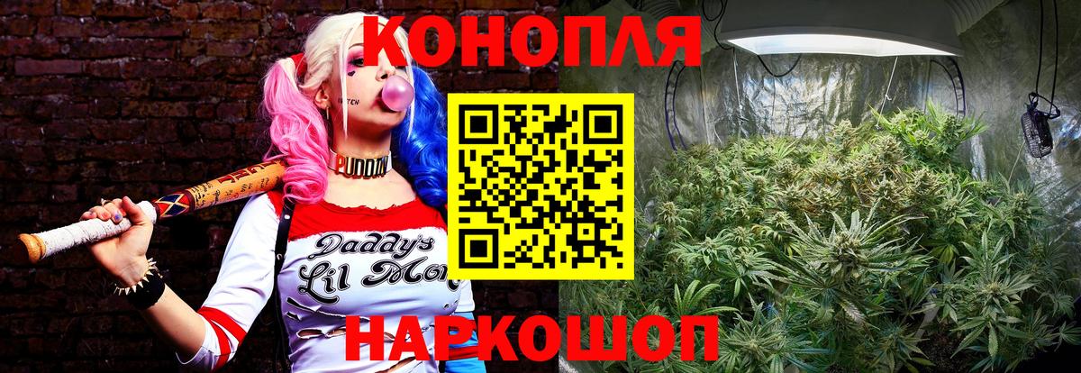 Марихуана семена  Бошки Шишки индика  Вход с VPN  Бошки Шишки план  Свободный 
